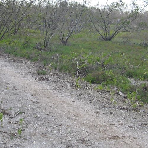 Rowdy Bend Trail