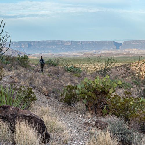 Burro Spring Trail