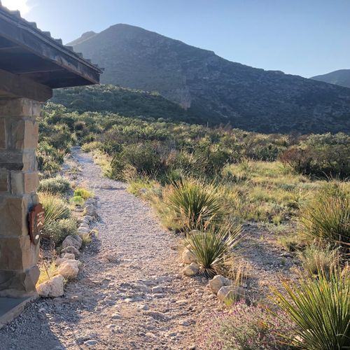 McKittrick Canyon