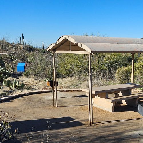 Javelina Wash Trail