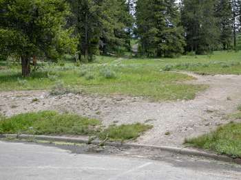 Wapiti Lake Trail