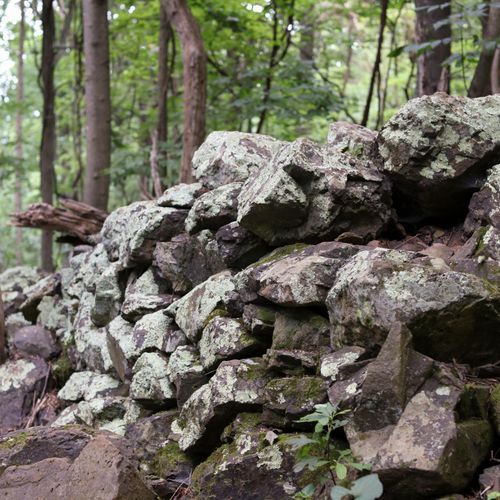 Fox Hollow Trail
