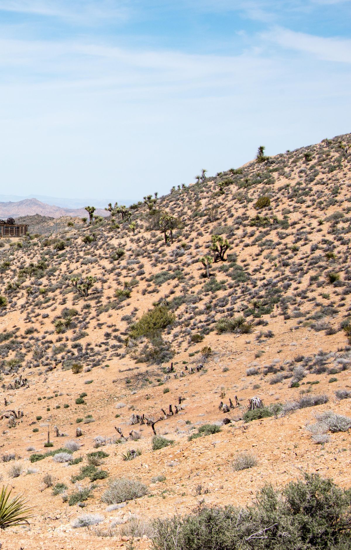 Lost Horse Mine, Joshua Tree National Park