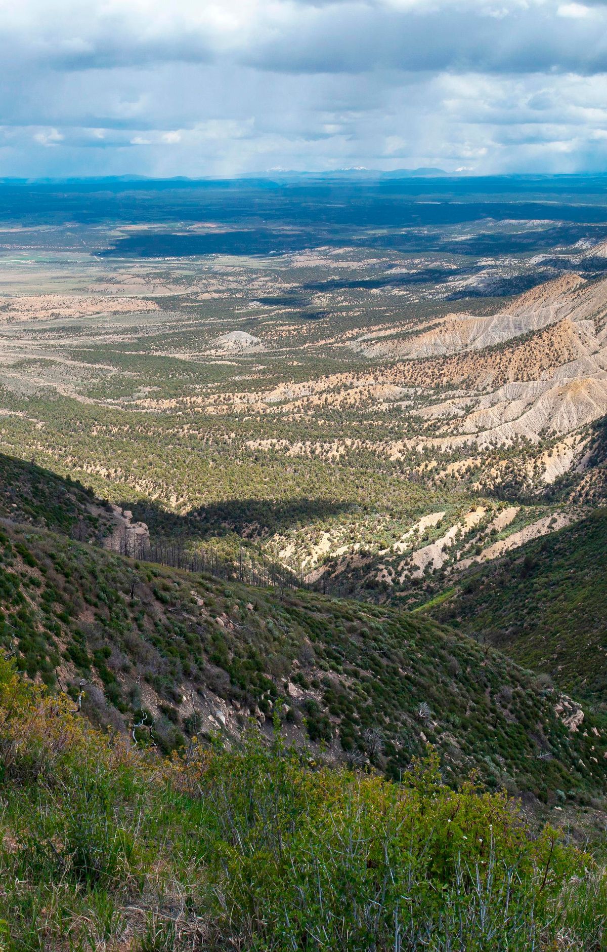 Birding Where Rockies Meet Colorado Plateau, Mesa Verde National Park