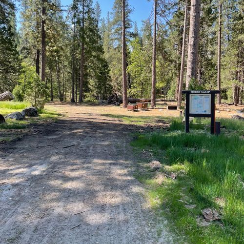 Wawona Horse Camp
