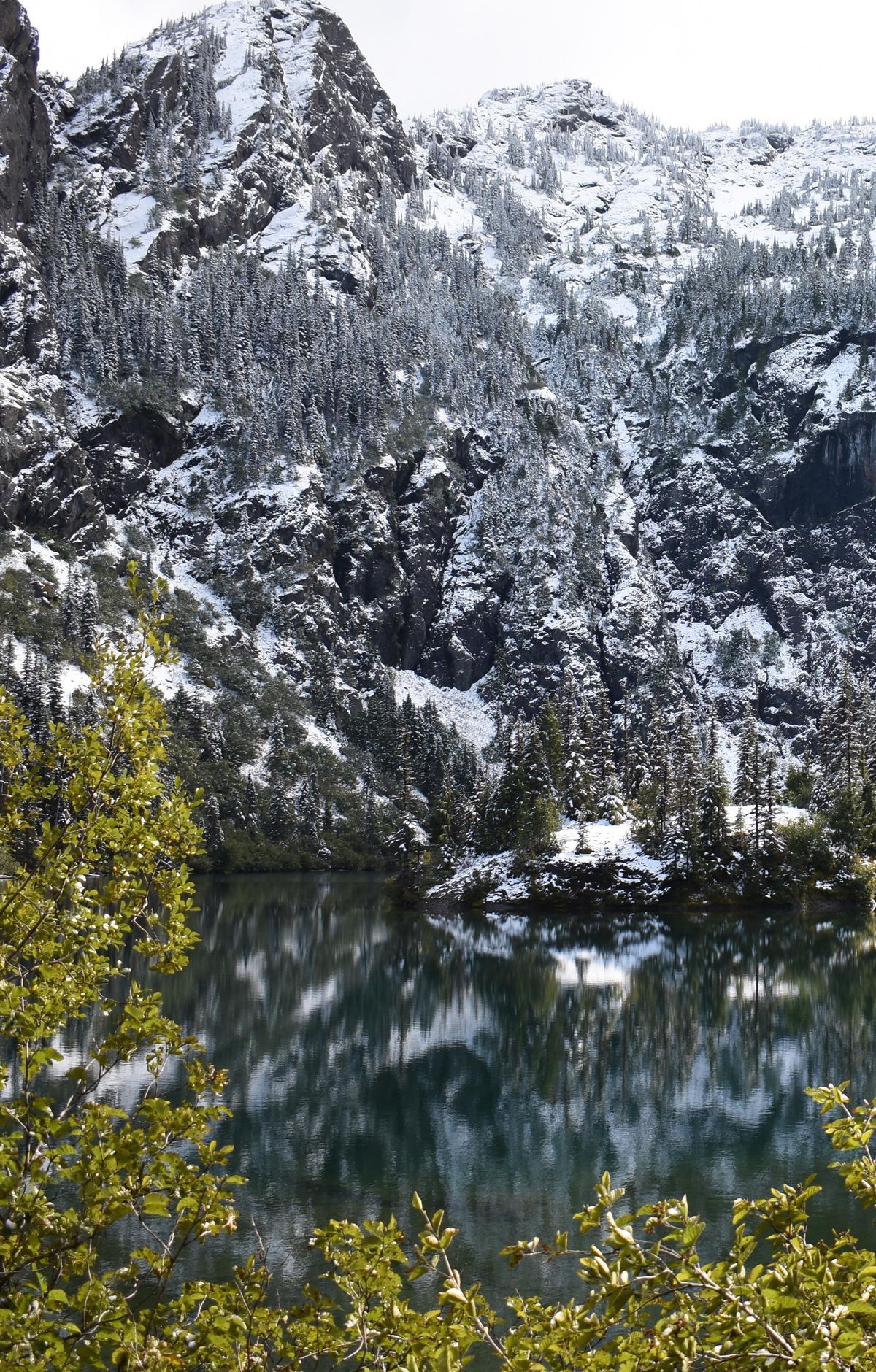 Lake Angeles Trail, Olympic National Park