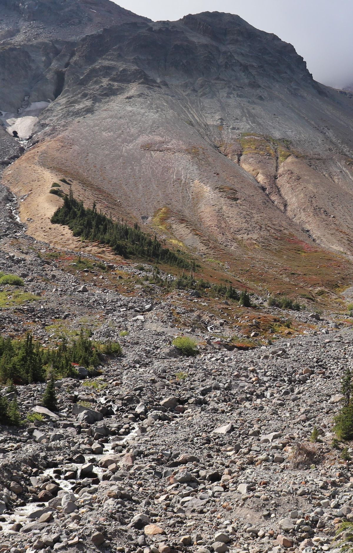 Glacier Basin Trail, Mount Rainier National Park