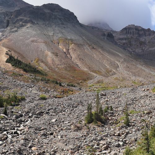 Glacier Basin Trail
