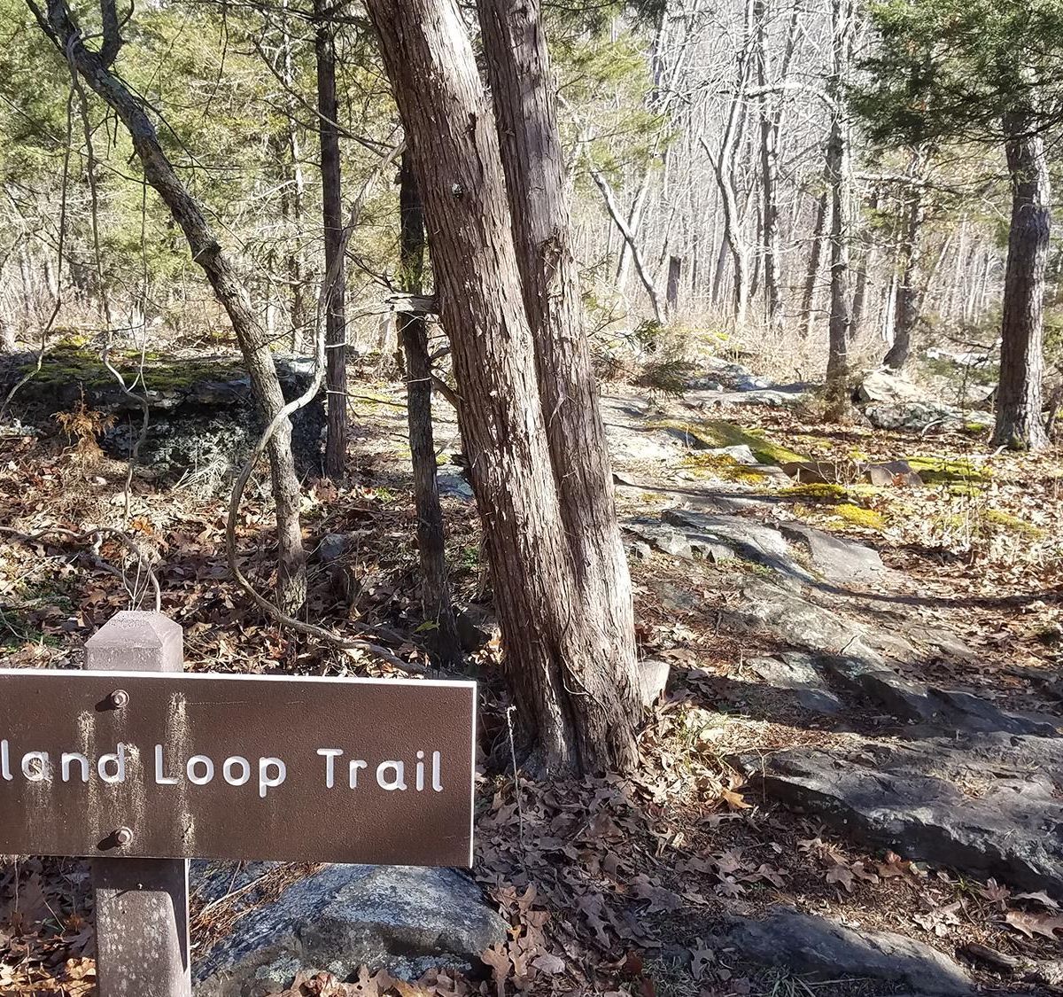 Island Loop Trail, New River Gorge National Park & Preserve