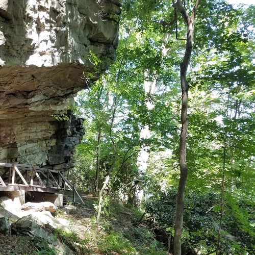 Tunnel Trail