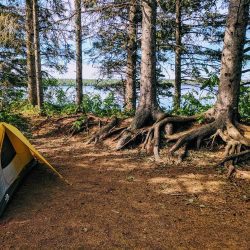 Feldtmann Lake Campground