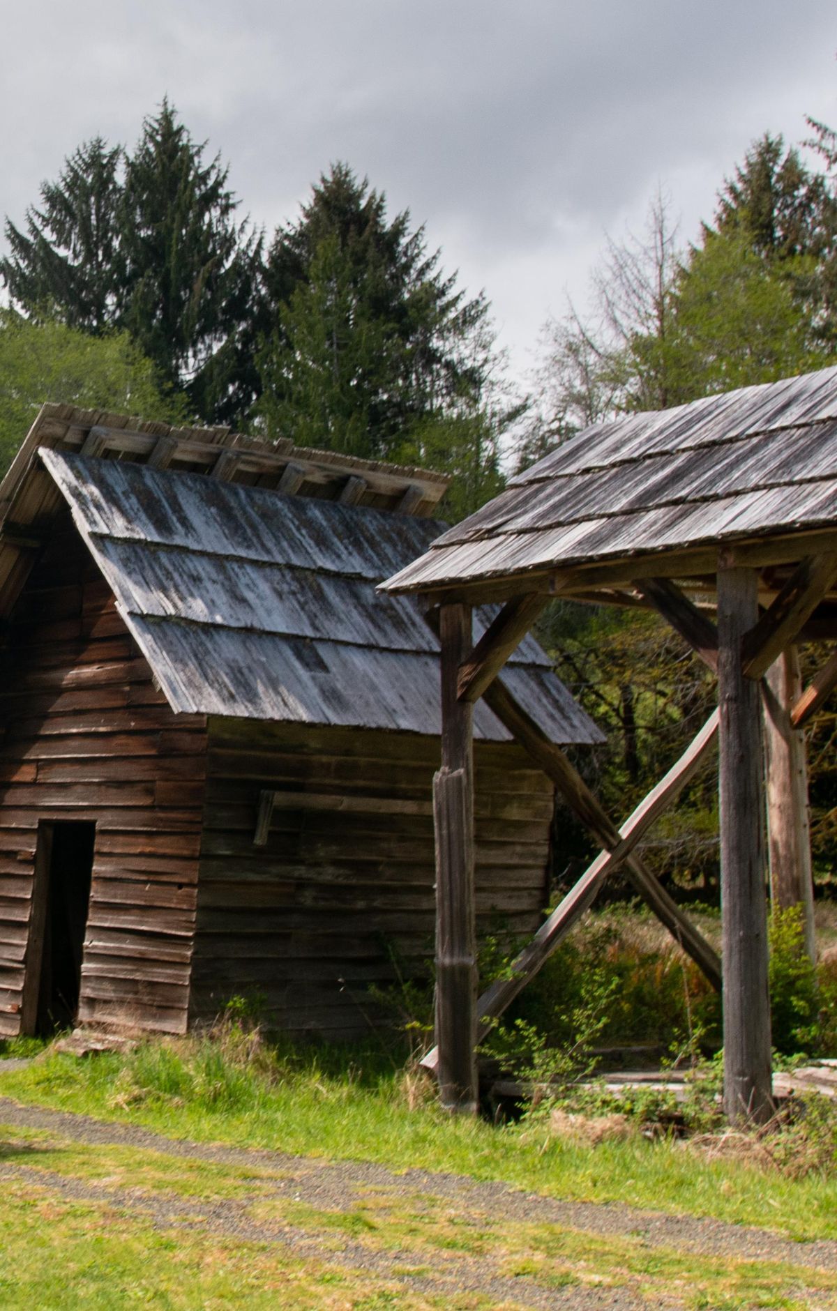 Kestner Homestead Trail, Olympic National Park
