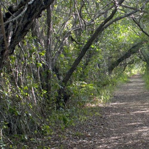 Snake Bight Trail