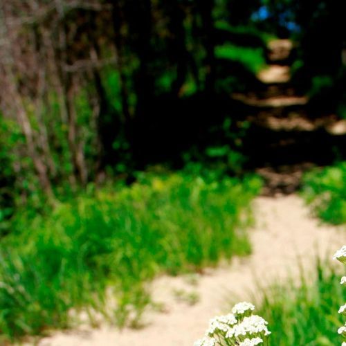 Tolleston Dunes Long Loop