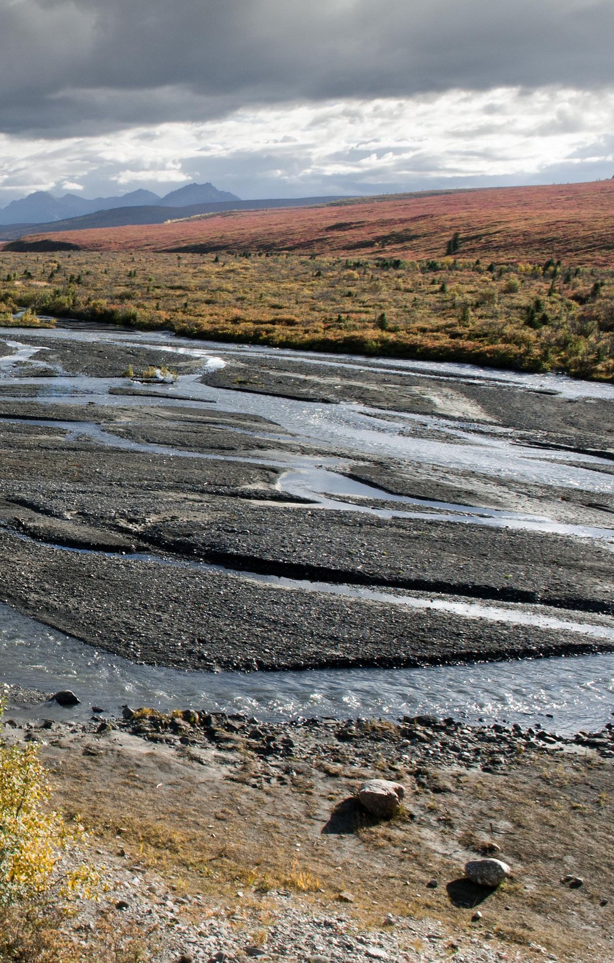 Savage River: The Road's Paved End, Denali National Park & Preserve