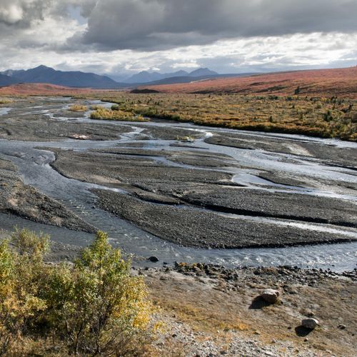 Savage River