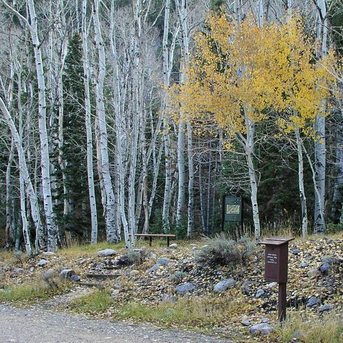 Baker Creek Loop Trail