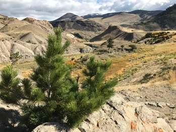 Rescue Creek Trail