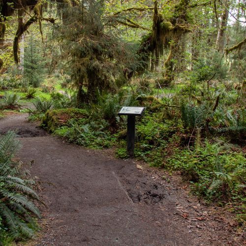Spruce Nature Trail