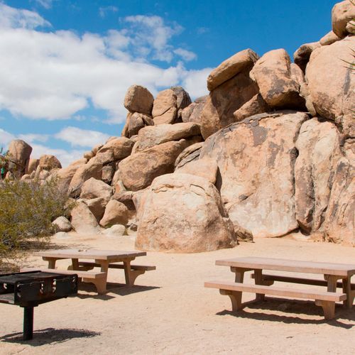 Quail Wash