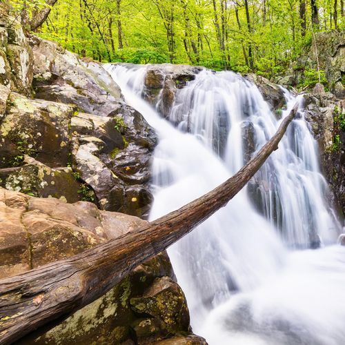 Rose River Loop Trail