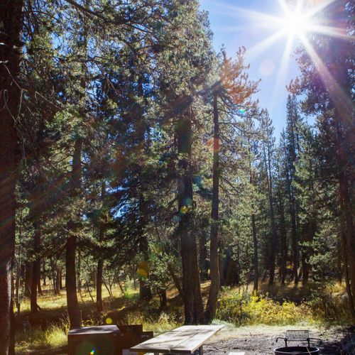 Porcupine Flat Campground