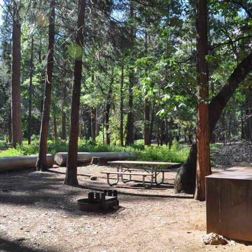Upper Pines Campground