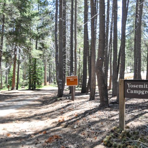 Yosemite Creek Campground