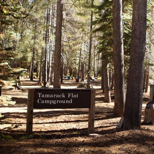Tamarack Flat Campground
