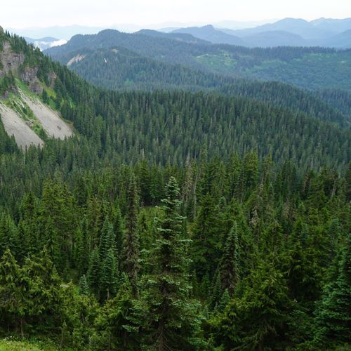 Eagle Peak Trail