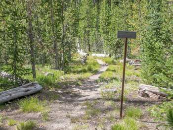 Pitchstone Plateau Trail