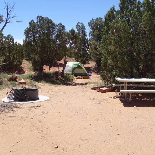 Primitive campsites at Cedar Mesa Campground