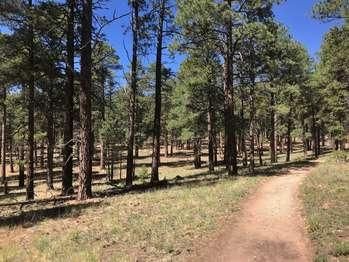 Cape Final Trail