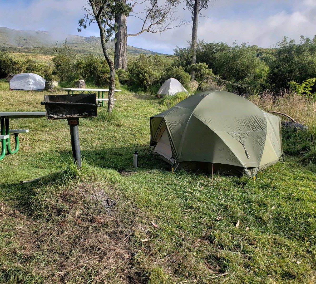 Camping at Hosmer Grove, Kīpahulu and Wilderness Cabins, Haleakalā National Park
