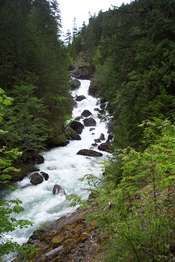 Dosewallips River Trail
