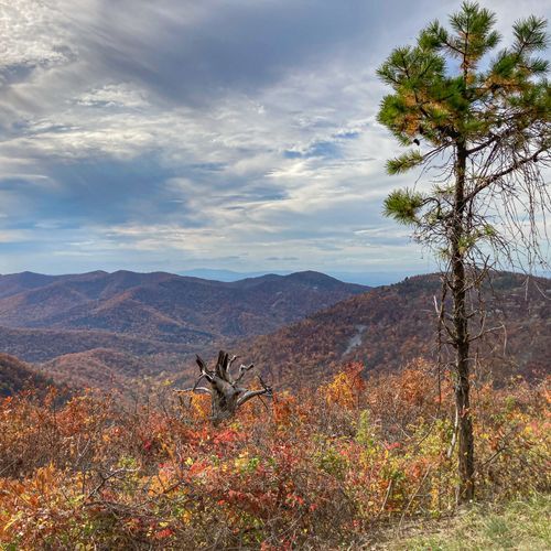 Two Mile Run Overlook