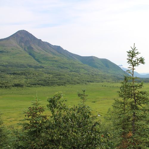 Viewpoint
