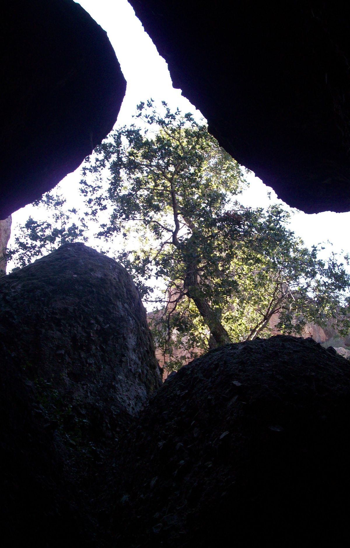 Bear Gulch Trail, Pinnacles National Park
