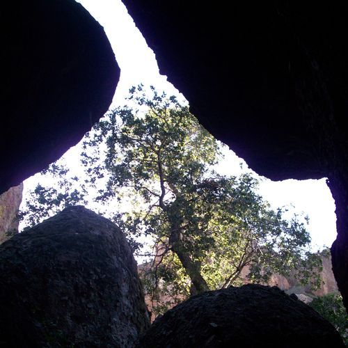 Bear Gulch Trail