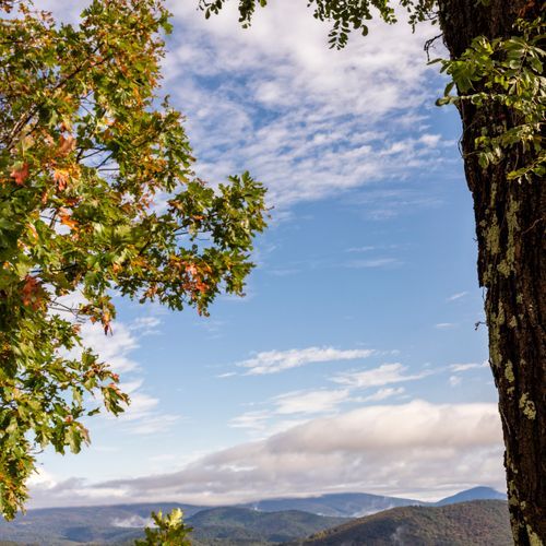 Buck Hollow Trail