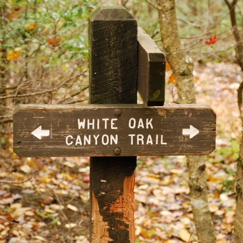 White Oak Canyon Trail