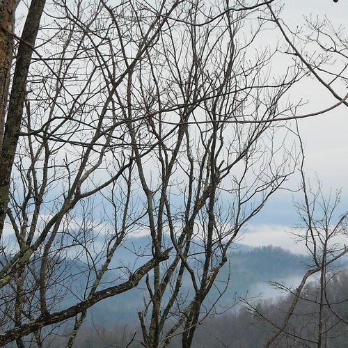 Metcalf Bottoms Trail