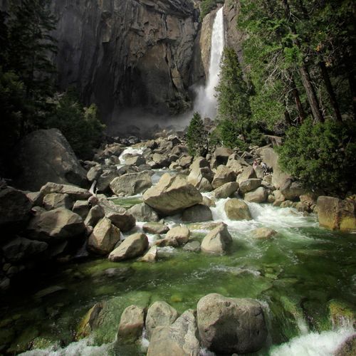 Lower Yosemite Fall