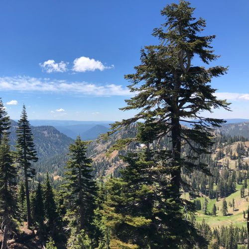 Viewpoint
