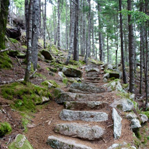Pemetic Mountain Northwest Trail