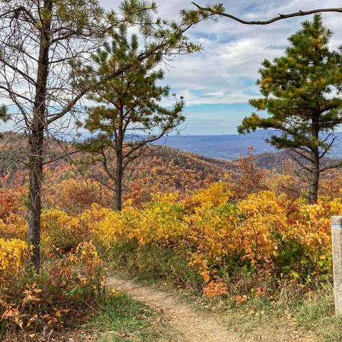 Brown Mountain Overlook