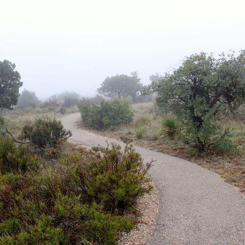 Pinery Trail