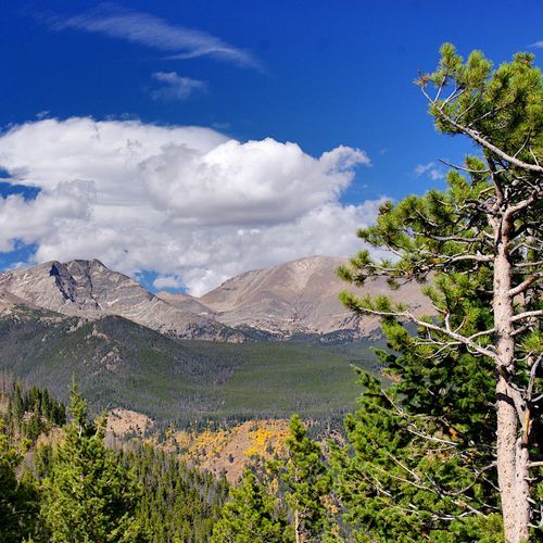 Upper Beaver Meadows Trail