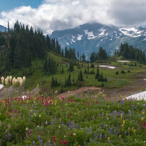 Skyline Trail