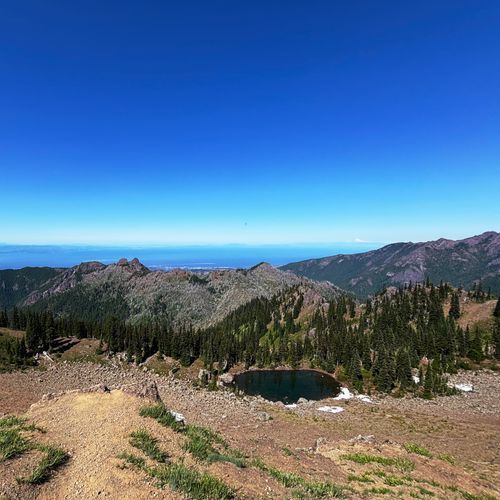 Viewpoint